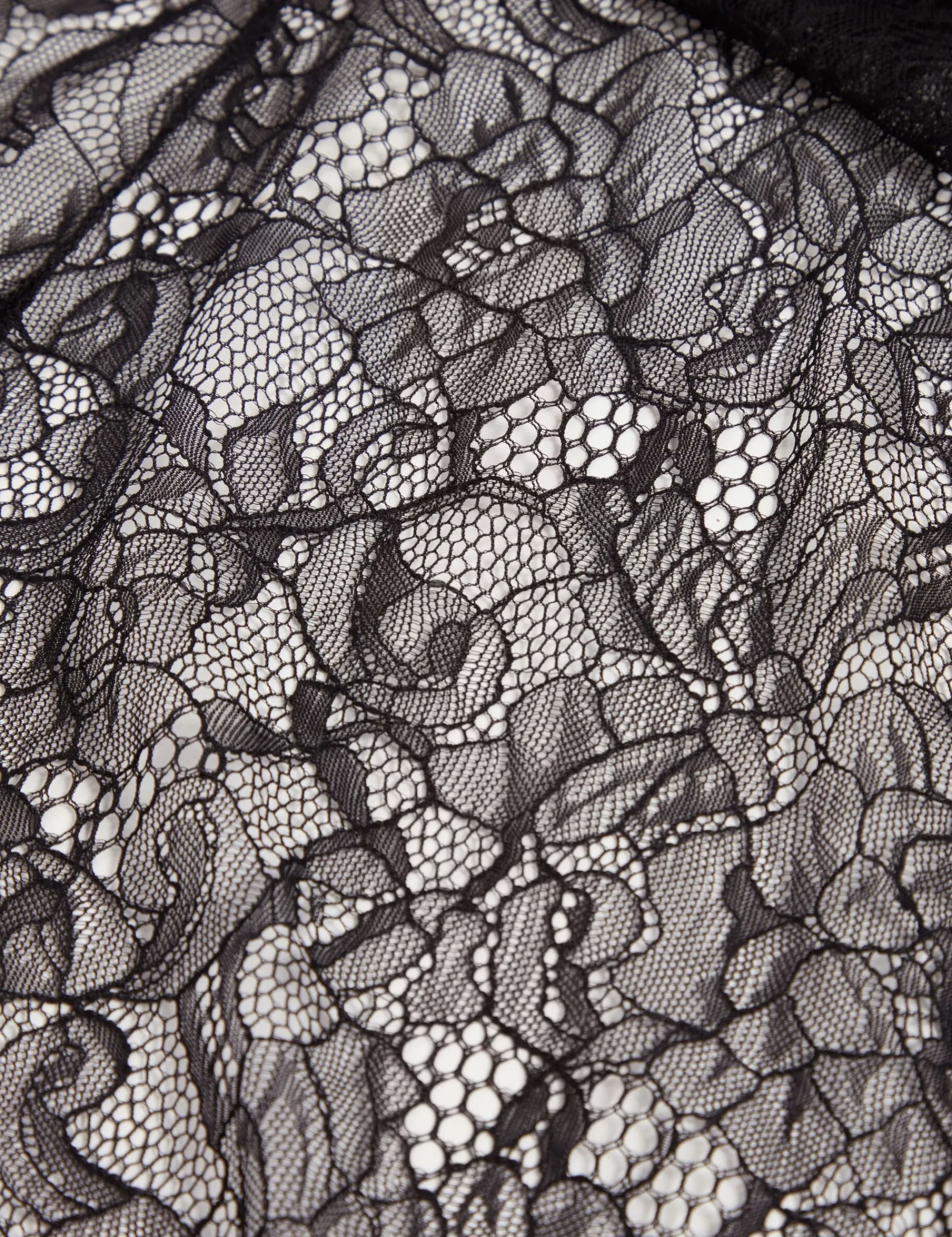 New Lobster Limited Festliche Kleidung|Kleider<Transparentes Maxikleid aus Spitze mit langen Ärmeln